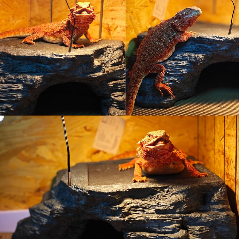 X-Large Bearded Dragon Basking Platform, Lizard, Snake or Reptile Hide