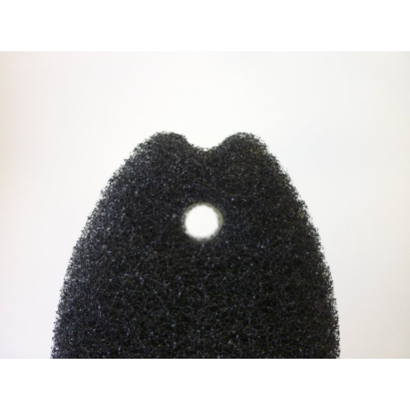 Marna Fish Kitchen Sponge Hard, Set of 2, Black