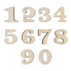 GroveEss 100PCS Wooden Number Embellishment,Number 0 to 9 DIY Art
