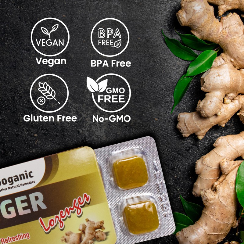 HERBOGANIC Ginger Lozenges Leaf of 6, 20 Packs per Box