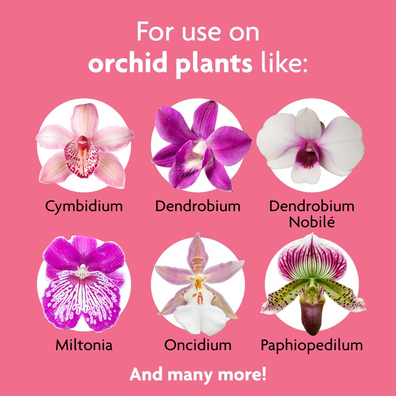 Miracle-Gro Ready-To-Use Orchid Plant Food Mist, 8 oz., Orchid Food