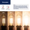 FLSNT 100W Equivalent LED Edison Bulbs, ST19/ST58 Dimmable LED Light
