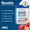 Applied Nutrition Marine Collagen Powder - Hydrolysed Collagen Protein, Healthy