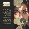 Greenwood Essential Pure Peppermint Essential Oil (Mentha piperita) Steam Distilled