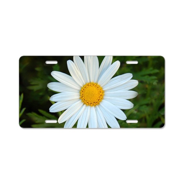 CafePress White Daisy Aluminum License Plate, Front License Plate, Vanity Tag