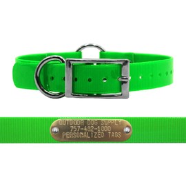Outdoor Dog Supply 1" Wide Solid Ring in Center Dog Collar Strap with Custom Brass Name Plate (19" Long, Lime Green)