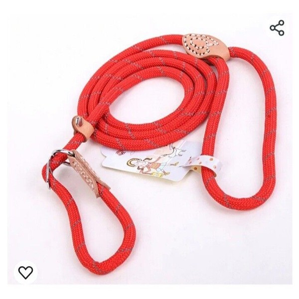 Coolrunner Durable Dog Slip Rope Leash, 5 FT Dog Training