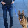 Max and Neo Triple Handle Traffic Dog Leash Reflective -