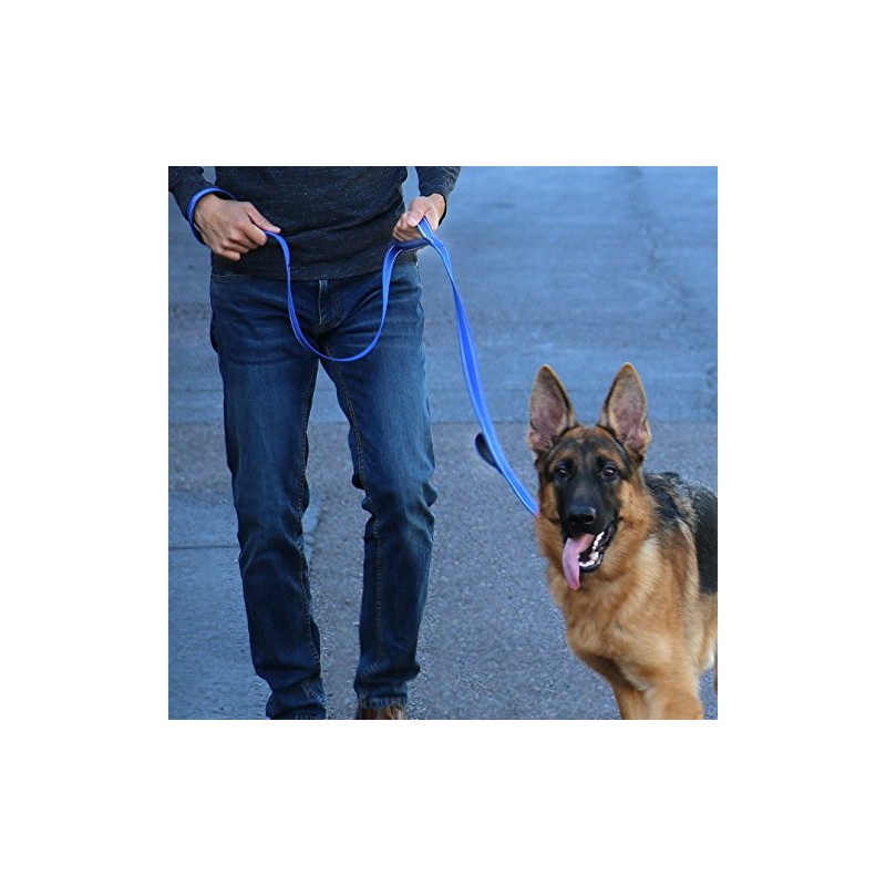 Max and Neo Triple Handle Traffic Dog Leash Reflective -