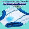 MOEMOE BABY Training Underwear 10 Packs Absorbent Potty Training Pants