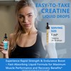 Creatine Liquid Drops - 98% High Absorption Creatine Monohydrate for