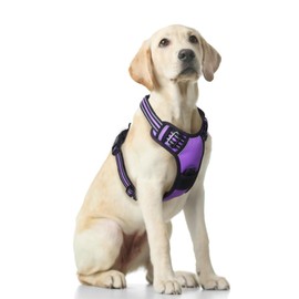 Funfox Dog Harness for Large Anti-Pull Chest Harness, Adjustable Large Dog Harness Set, Anti-Pulling Harness for Medium Dogs, Breathable No Pull Dog Harness, Purple, L