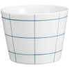Saikaitoki Hasami Ware Essence es Cup (S), Plaid Pattern, Blue