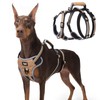 PUPTECK Escape Proof Dog Harness with Padded Handle, No Pull