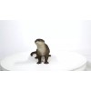 Hi-Line Gift Ltd. Standing Otter Garden Statue Life Size Yard