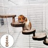 YANJI Hamster Ladder Natural Wood, Hamster Climbing Toy, Wooden Hamster
