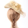 DRESHOW Fascinators Hat Mesh Veil Feathers Hat with a Headband