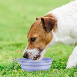Kytely Collapsible Dog Bowls Medium (650ml), 2 Pack Travel Dog Bowls for Dog Cat, Portable Dog Water Food Bowl with Clasp, Pet Cat Feeding Cup Dish for Outdoor, Travel, Walking, Parking