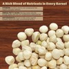 Moringa Seeds Kernel Shelled 8 oz. - Clean PKM1 Variety