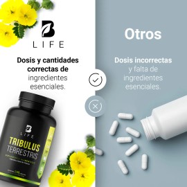 Tribulus Terrestris Precursor D Testosterona 240 Cáps. B Life