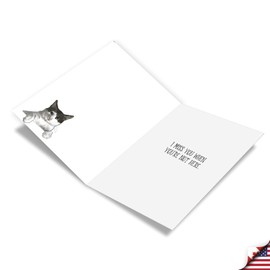 NobleWorks, Funny Miss You Greeting Card with 5 x 7 Inch Envelope (1 Card) Thinking of You, Just Because Cat Antics - Feed Me C3638CMYG