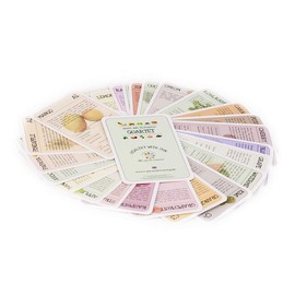 RR's Game Collection Healthy with Fun - Fruits & Vegetables Trump Card Games, Trump Cards, Learning - Educational Game for Kids Teenagers Adults, School and Family Games