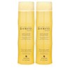 Bamboo Smooth Anti-Frizz Shampoo, 8.5-Ounce (2-Pack)