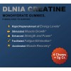 Dlnia- 120 Gomitas De Creatina Monohidrato Para Hombres Y M