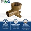 XFITTING 1 Inch Pex x 1 Inch Female NPT Drop