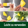 Garsum 42 Traps Sticky Houseplant Traps Gnat Yellow Insect Trap