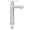 Bamboo Shape Stainless Steel Basin Faucet Cold Water Sink Faucet