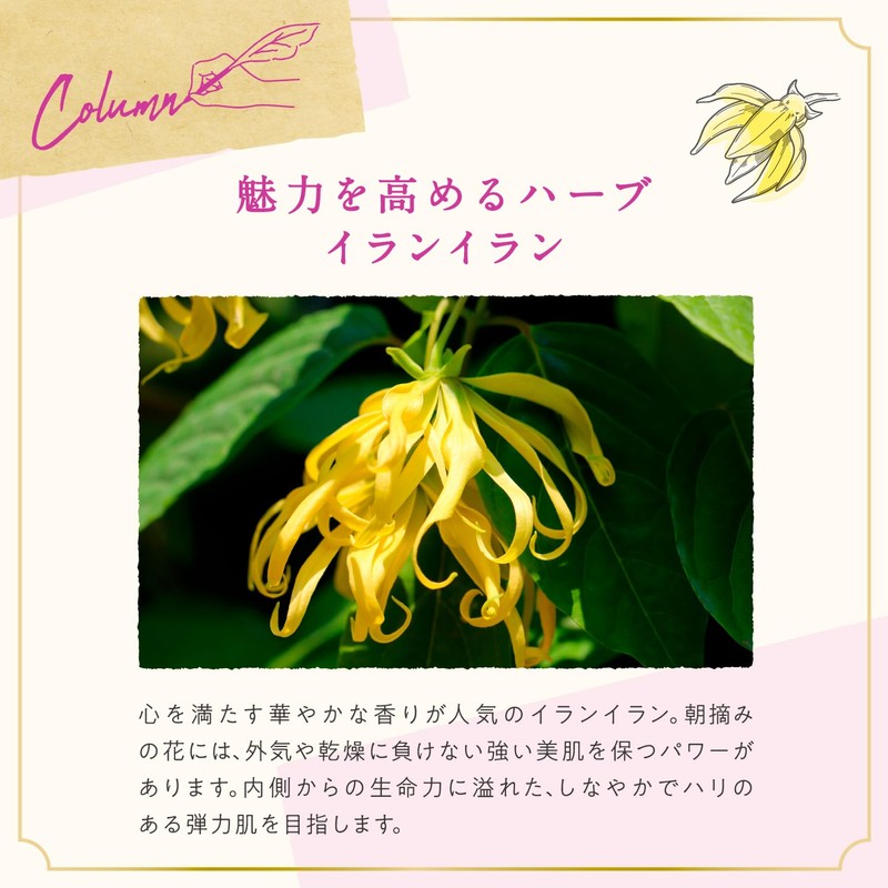 【公式】アルジタル(ARGITAL) ナリッシング イランイラン クリーム