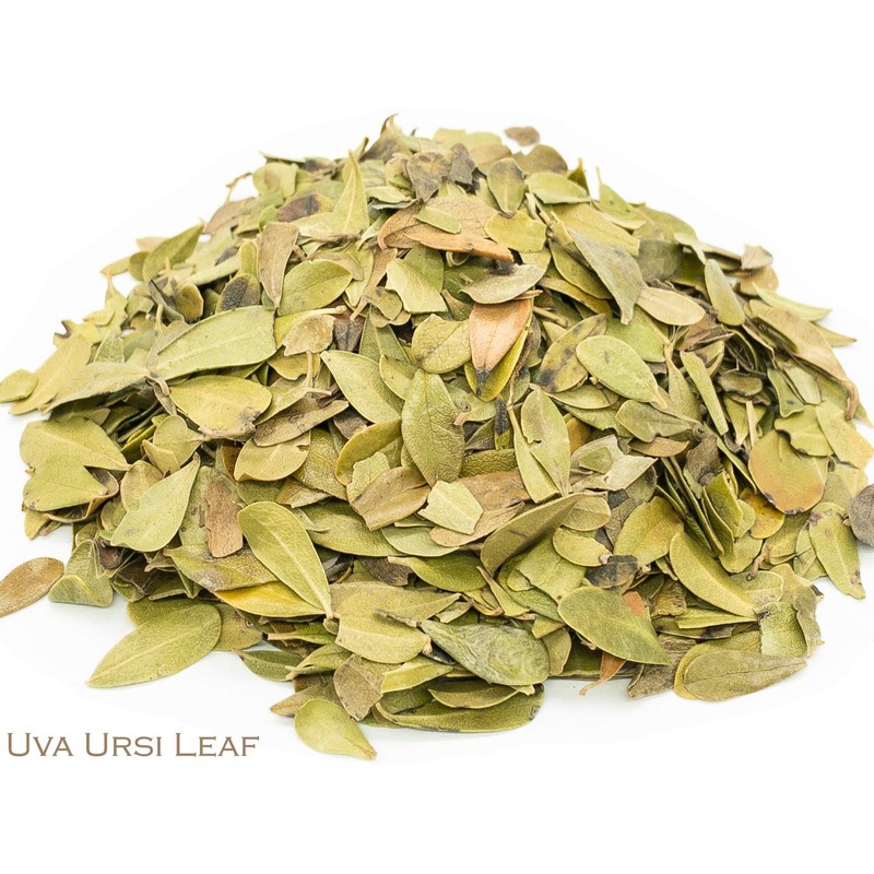 Uva Ursi Leaf and Green Tea Herbal Infusion (Gyokuro -