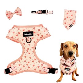 Dog Harness Set – Matching Harness, Collar, Sailor Bow, Bandana – Complete Pet Accessory Kit (XSmall, Pink)