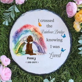 NAZENTI Cavalier King Charles Spaniel (Cavalier) Tan Dog Memorial Gifts for Loss of Dog, Dog Memorial Stone, Rainbow Bridge Dog Sympathy Gifts, Dog Memorial Plaque