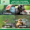 Greena® All Natural Sludge Remover - Actively consumes sludge which