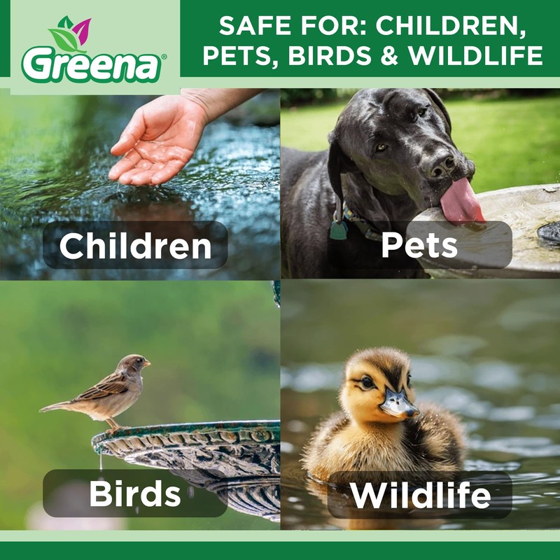 Greena® All Natural Sludge Remover - Actively consumes sludge which