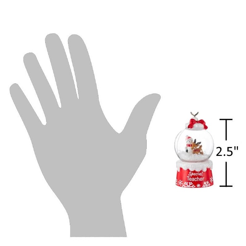 The Bridge Collection 2.5" Snow Globe Special Teacher Christmas Ornament