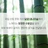 Beauty People Bamboo Forest Healing Pad (50 sheets) / 뷰티피플