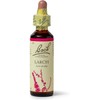 Bach Original Flower Remedies (Larch) Find Joy & Hope, Have