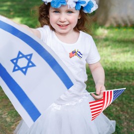 6Pcs America Israel Flag Lapel Pins, American Israel Flag Friendship Pin for Tie Hat Cuff Bag, Pins Badge Souvenir for I Stand with Israel Flag Pins