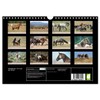 Wildpferde. Frei wie der Wind (Wandkalender 2026 DIN A4 quer),