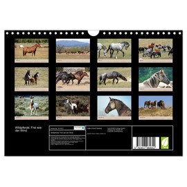 Wildpferde. Frei wie der Wind (Wandkalender 2026 DIN A4 quer), CALVENDO Monatskalender