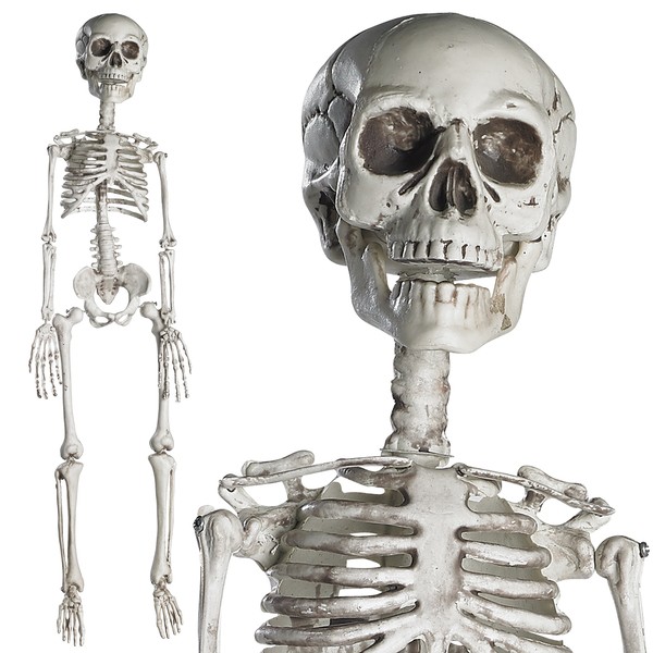 Prextex Life-Size Poseable Skeleton - Halloween Decorations - Full Size Plastic Skeleton for Halloween, Scary Decor for Haunted Houses, Parties, and Displays - Indoor/Outdoor Use