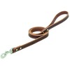 Terrain D.O.G. Bridle Leather Dog Leash