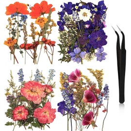 Nuanchu Pressed Flowers Bulk Dried Flower for Crafts, Dried Flower Leave Natural with Tweezer for Resin Mold Scrapbooking DIY (Gorgeous Style)