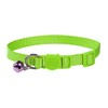 Vibrant Soft Nylon Kitten/Cat Collar with Bell and Safety Release