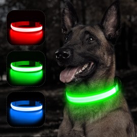 BSEEN Light Up Dog Collar - USB Rechargeable Reflective Puppy Collar, High Visibility Glowing Pet Collar for Night Walking (Neon Green, Small)