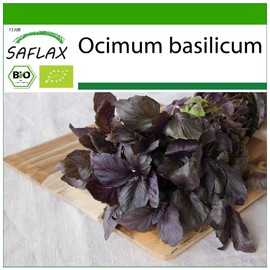 SAFLAX - Organic - Red Basil - 400 Seeds - With Germ-free Growing Substrate - Ocimum Basilicum