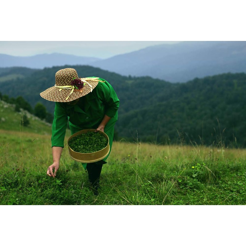 Armenian Herbal Tea 27 Bags 9 Flavors | Premium Mountain